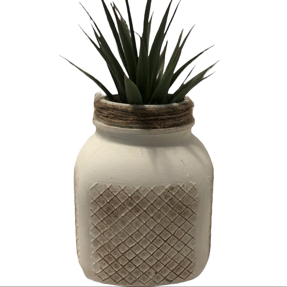 Painted glass vase w/succulent (hand painted) Boho